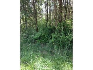 8217 Cedarbrook Dr, Charlotte NC  28215-4514 exterior