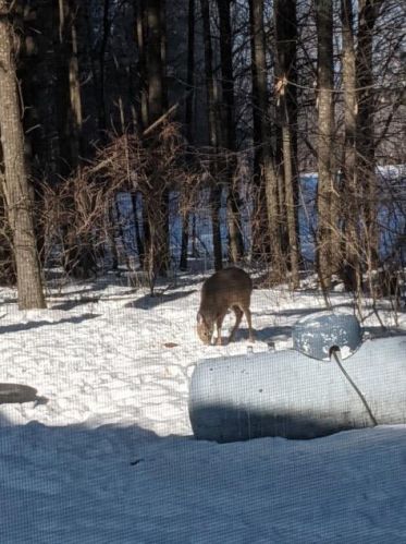 2889 377 Ave, Stanford MN 55080-8727 exterior