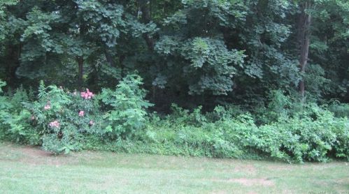 110 Dibble Hollow Ln, Windsor Locks CT  06096-2731 exterior