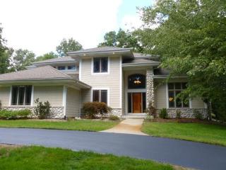 8575 Platinum Falls Ct, Ada, MI 49301-8305