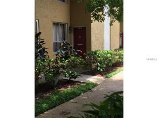 4226 La Dega Ct, Tampa FL  33611-2341 exterior