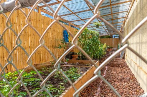 430 Lewers St, Honolulu HI 96815-2444 exterior