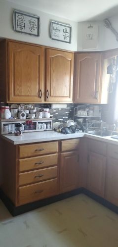 6129 Kildare Ave, Chicago IL 60646-5226 exterior