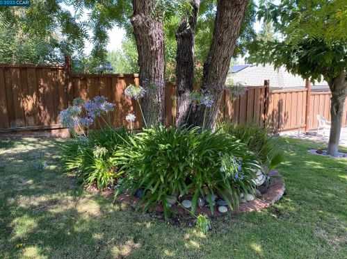 4252 El Cerrito Rd, Concord CA 94518-1812 exterior