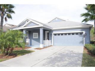 20103 Heritage Point Dr, Tampa FL  33647-3338 exterior