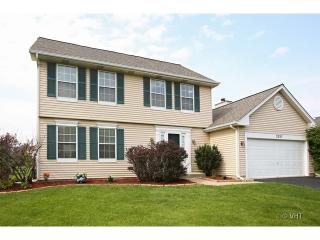 2337 Meadowview Ct, Aurora IL  60502-6910 exterior