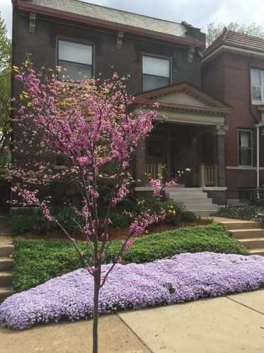 4210 Flad Ave, Saint Louis, MO 63110-3507