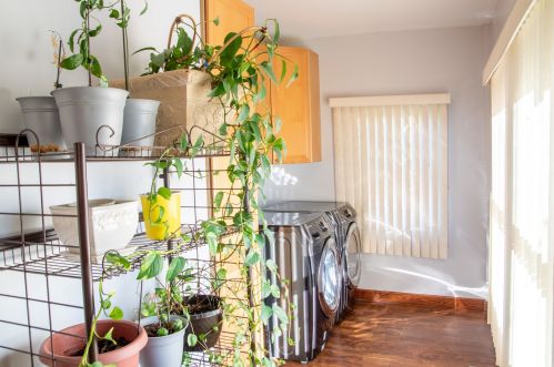 1821 2 Ave, Broadview IL 60153-3306 exterior