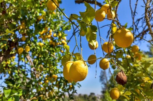 31150 Avenida Del Reposo, Temecula CA 92591-1719 exterior