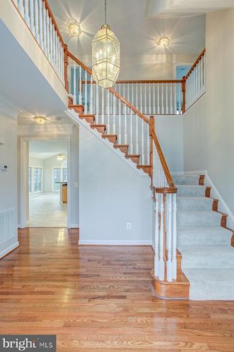 6119 Lemon Thyme Dr, Alexandria VA  22310-2660 exterior