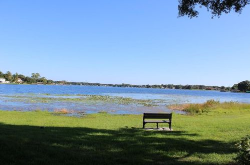 13720 Orange Sunset Dr, Tampa FL  33618-3334 exterior