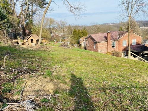 119 Columbia Dr, Pittsburgh PA  15236-4428 exterior