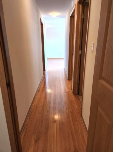 313 23rd St, Chicago IL 60616-5255 exterior