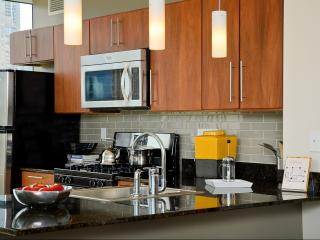 222 Erie St, Chicago IL  60654-4833 exterior