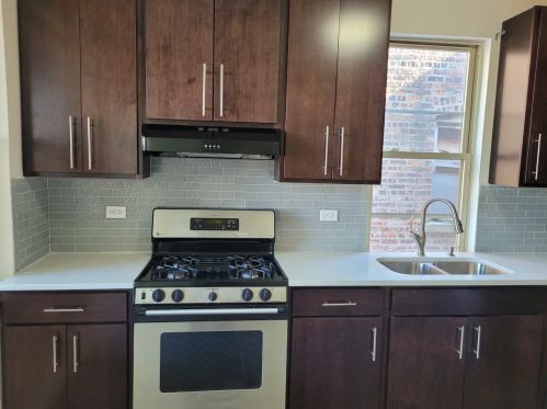 735 Ridgeway Ave, Chicago IL 60618-1010 exterior