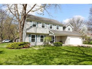 1007 Canonero Dr, Naperville IL  60540-7707 exterior