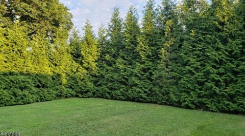 12 Adamsville Rd, Bridgewater NJ 08807-3049 exterior