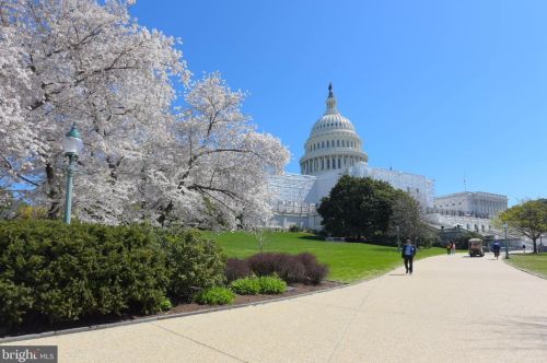 424 Capitol St, Washington DC  20003-3833 exterior