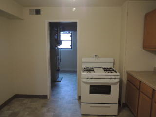 258 46th Pl, Chicago IL  60609-3911 exterior