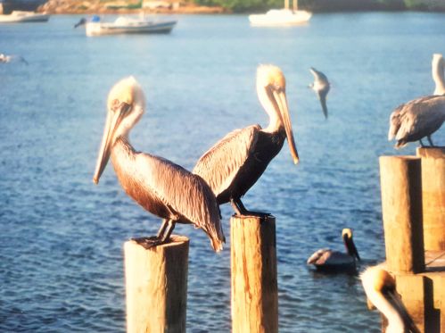 3310 Park Dr, Fort Pierce FL 34982-8424 exterior