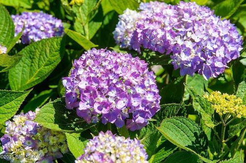 200 Clapboard Rdg Rd, Greenwich CT 06831-3352 exterior