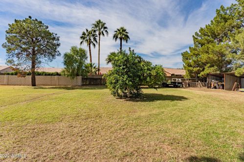 1100 Kingston St, Chandler AZ 85225-9436 exterior