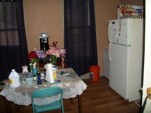 49 102nd Pl, Chicago IL  60628-2015 exterior