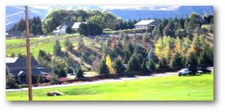 3615 Knowles Rd, Wenatchee, WA 98801-9692