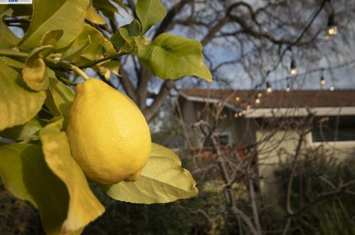 1870 Elinora Dr, Concord CA 94523-2815 exterior