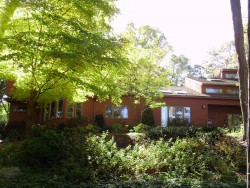 40 Warren St, Newton, MA 02459-2359