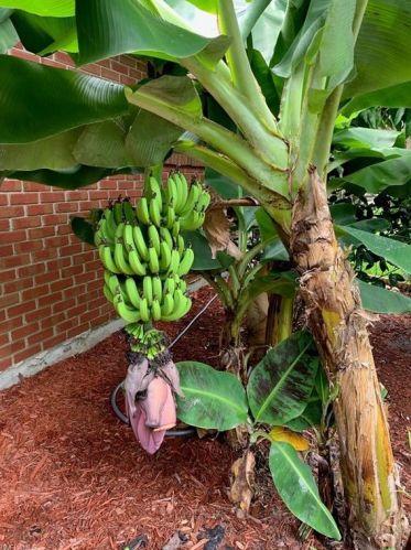 4215 Kathy Ave, Naples FL 34104-4028 exterior