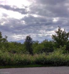 6925 Riverwood Dr, Belding MI  48809-8578 exterior