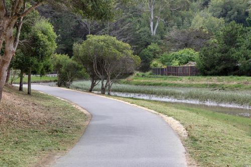 263 Cardinal Rd, Mill Valley CA 94941-3617 exterior