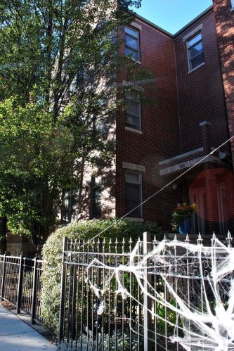 1964 Foster Ave, Chicago, IL 60640-1073