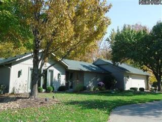 21982 Little Brook Way, Cleveland, OH 44149-2271