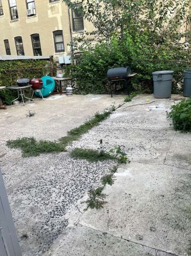 768 Beck St, Bronx NY 10455-1901 exterior