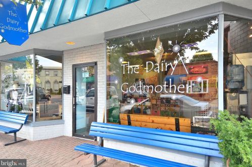 13 Chapman St, Alexandria VA 22301-2202 exterior