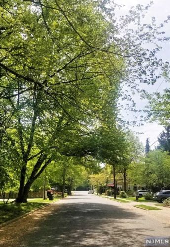 55 Linwood Ave, Cresskill NJ 07626-2103 exterior