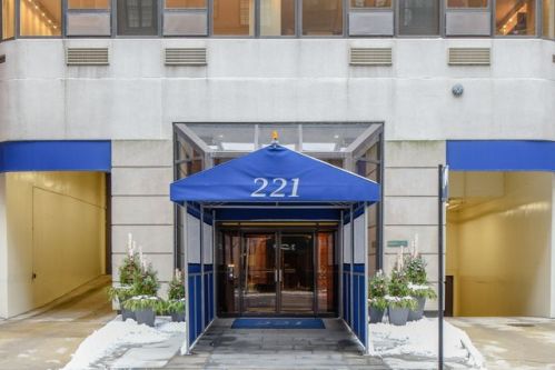 221 Walton Pl, Chicago, IL 60611-1511