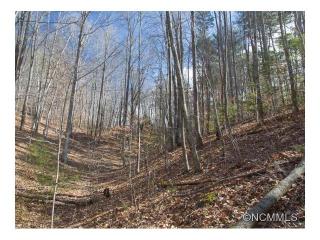 21 Wits End Trl, Swannanoa, NC 28778-5507