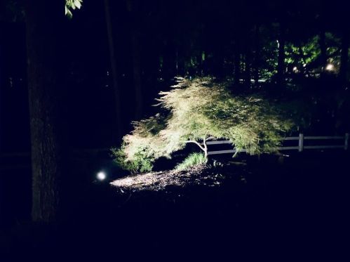 3611 Cloudland Dr, Atlanta GA 30327-2907 exterior