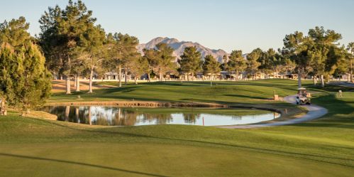 1863 Peach Tree Dr, Chandler AZ 85249-8917 exterior