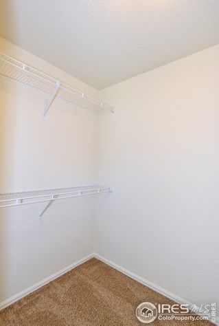 917 Ponderosa Dr, Fort Collins CO 80521-3148 exterior