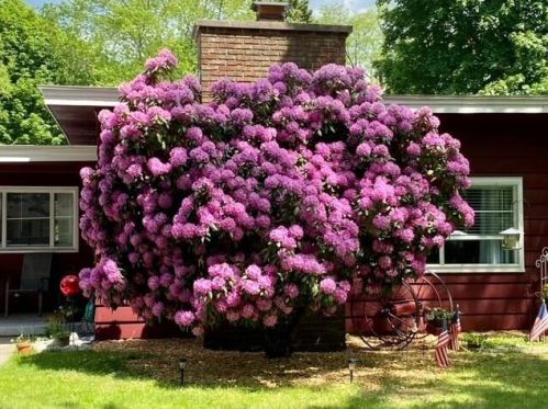 935 Division St, Sylvan Beach MI  49461-1527 exterior