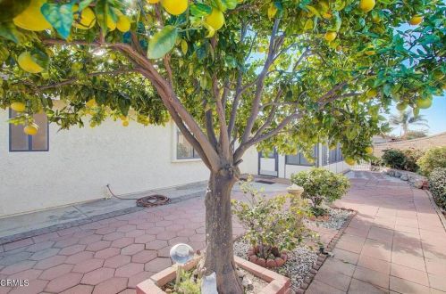 1041 Kumquat Pl, Oxnard CA 93036-1533 exterior