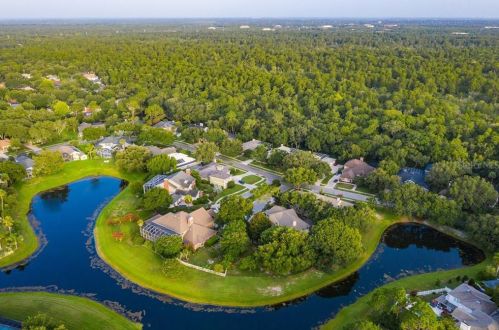 15704 Mifflin Ct, Tampa FL exterior