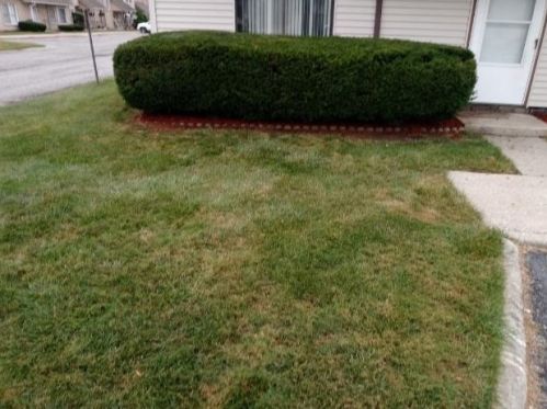 355 60th Dr, Gary IN  46410-3011 exterior