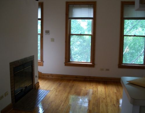 1337 Wolfram St, Chicago, IL 60657-4114