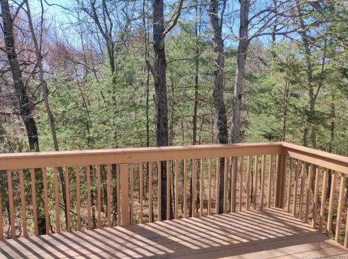 31 Marble Faun Ln, Windsor CT  06095-4766 exterior