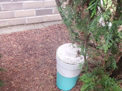 1218 Maywood Dr, Broadview IL 60153-1879 exterior